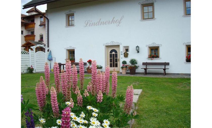 Lindnerhof Urlaub Am Bauernhof Hotel San Lorenzo di Sebato Exterior photo